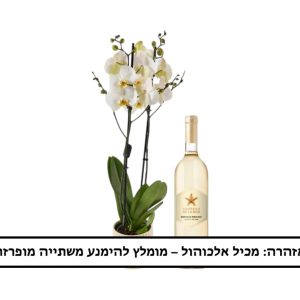 עציץ סחלב ולצידו יין